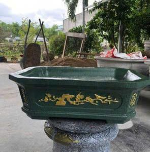 Chậu cây cảnh chữ nhật